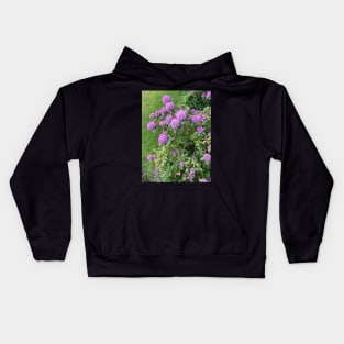 Rhododendron Bush Kids Hoodie